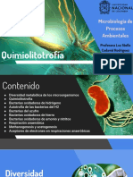 Quimiolitotrofía