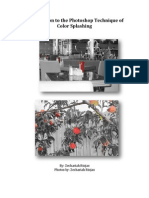 Introduction to the Photoshop Technique of Color Splashing 