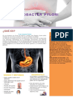 Helicobacter Pylori