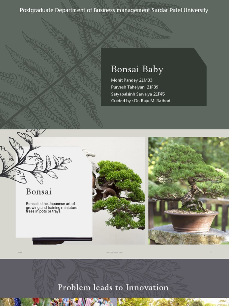 Bonsai Baby PDF Bonsai Recycling