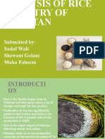 Analysis of Rice Industry