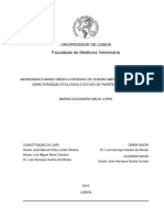 Abordagem e Maneio Médico-Cirúrgico de Feridas Abertas em Cães e Gatos - Caracterização Etiológica e Estudo de Padrões Traumáticos