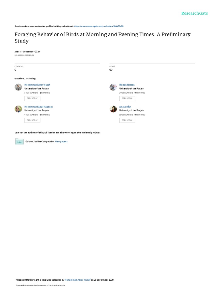 Foraging Behaviour Of Birds Pdf Foraging Predation