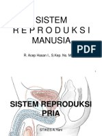 Sistem Reproduksi Manusia1