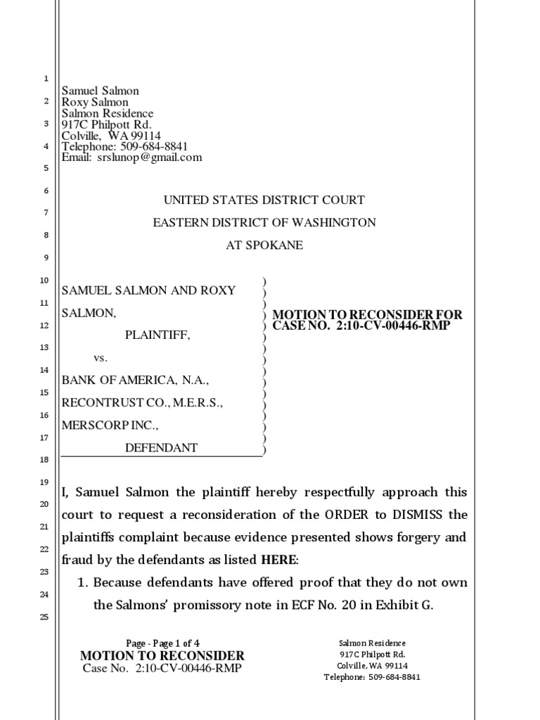 Motion to Reconsider faulty decision Affidavit Government Information