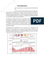 Ciclo Endometrial