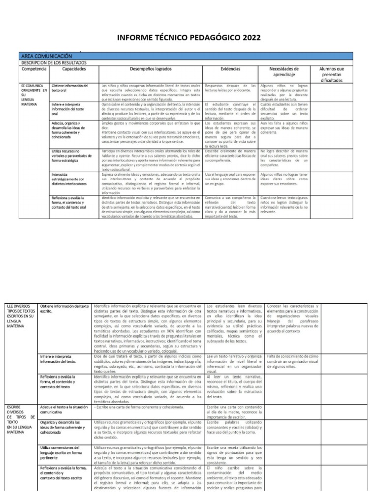 Informe Técnico Pedagógico 2022 Amauta-Perú | PDF | Negocios | Informática