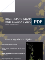 Brzi I Spori Signali Kod Biljaka I Životinja