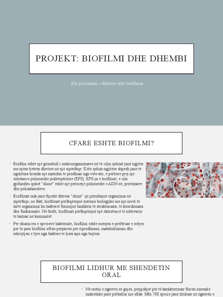 Prezantim | PDF