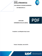 Salud laboral: antología sobre desarrollo histórico y factores de riesgo