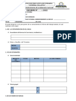 Ficha de Informe Mensual