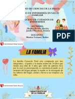 Exposicion Final - Practica Familia 0000