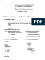 Anatomia Humana - Osteologia