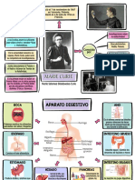 Mapas Conceptuales