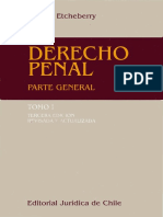 Derecho Penal Parte General Tomo I - Etcheberry