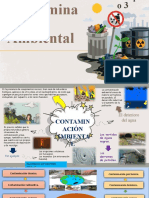 Grupo 3 - La Contaminación Ambiental
