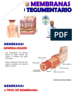 Semana 3 - Membranas y Tejido Tegumentario