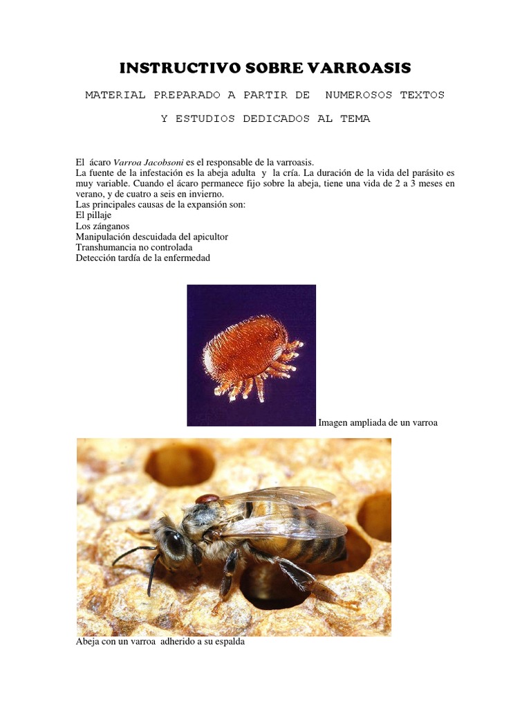 Instructivo Sobre Varroasis | PDF | Abejas