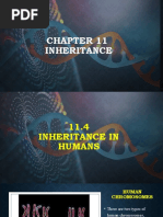 11.4 Inheritance in Humans