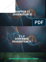11.2 Dihybrid Inheritance