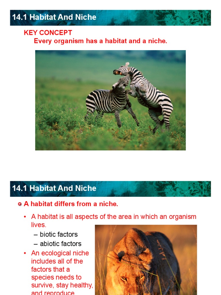 Habitat and Niche1 PDF
