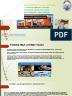 Medio Ambiente LL Ciclo Semana 7 Problemas Ambientales