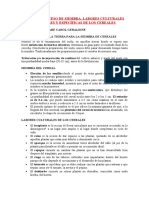 Siembra. Labores Culturales Generales y Específicas. - Roncal Sare Carol Geraldine - Tarea 03.