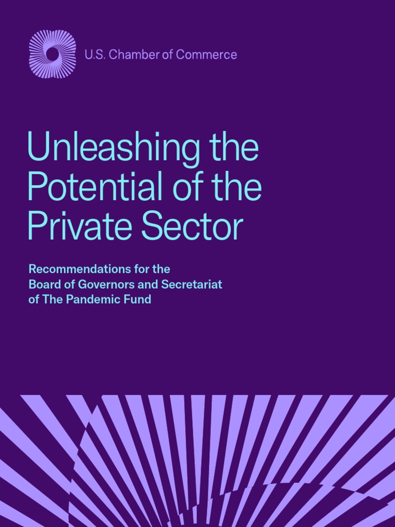 USCC Unleashing The Potential of The Private Sector For The Pandemic Fund PDF Governance