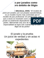 Diferencias de Litigio en El Juicio Por Jurados y El Juicio Ante Jueces Profesionales - Bolilla III