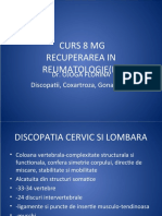 Curs Recup Mg8