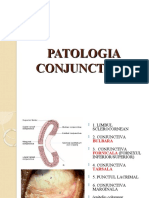 Patologia Conjunctivei