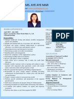 Ms. Aye Aye Mar: Work Experience Profile