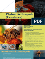 Phylum Arthropoda (Crustacea)
