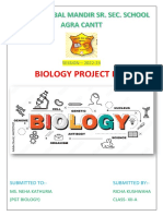 Bio File Pages
