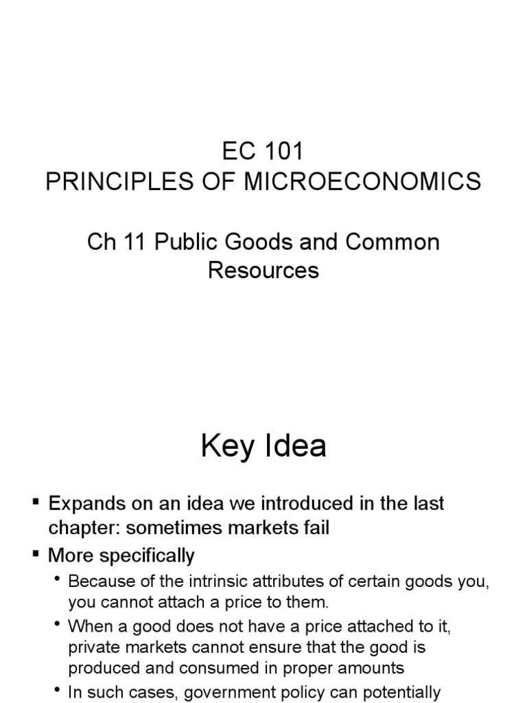 Ch 11 download free pdf goods externality
