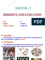 Heredity and Evolution.ppt