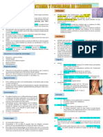 Embriología, Citología, Anatomía y Fisiología de Glandula Tiroides