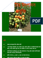 Tomato TOT 06 (Compatibility Mode)