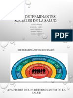 Los Determinantes Sociales de La Salud - Grupo 3