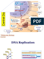 DNA Replication - PW