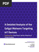 A Detailed Analysis of The Gafgyt Malware Targeting IoT Devices