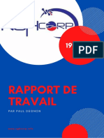 RAPPORT DE TRAVAIL PAUL (3)