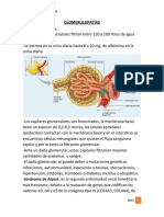 GLOMERULOPATÍAS