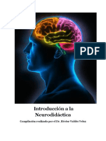 Introducción a la Neurodidáctica: principios y funciones para optimizar el aprendizaje