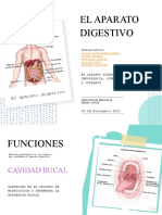 El Aparato Digestivo