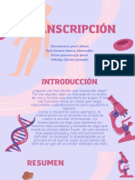 Transcripcion