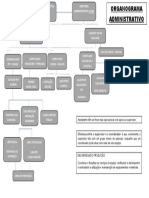 Organograma Estrutural