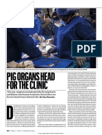 Pig Organs Head For The Clinic: Feature