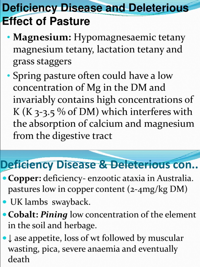 Selenium Deficiency and Animal Health | PDF | Selenium