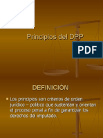Principios Del DPP